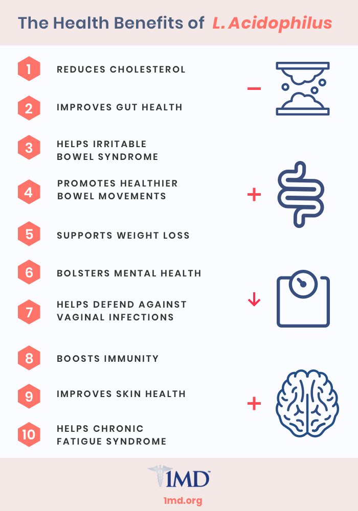 Acidophilus Benefits Weight Loss Blog Dandk